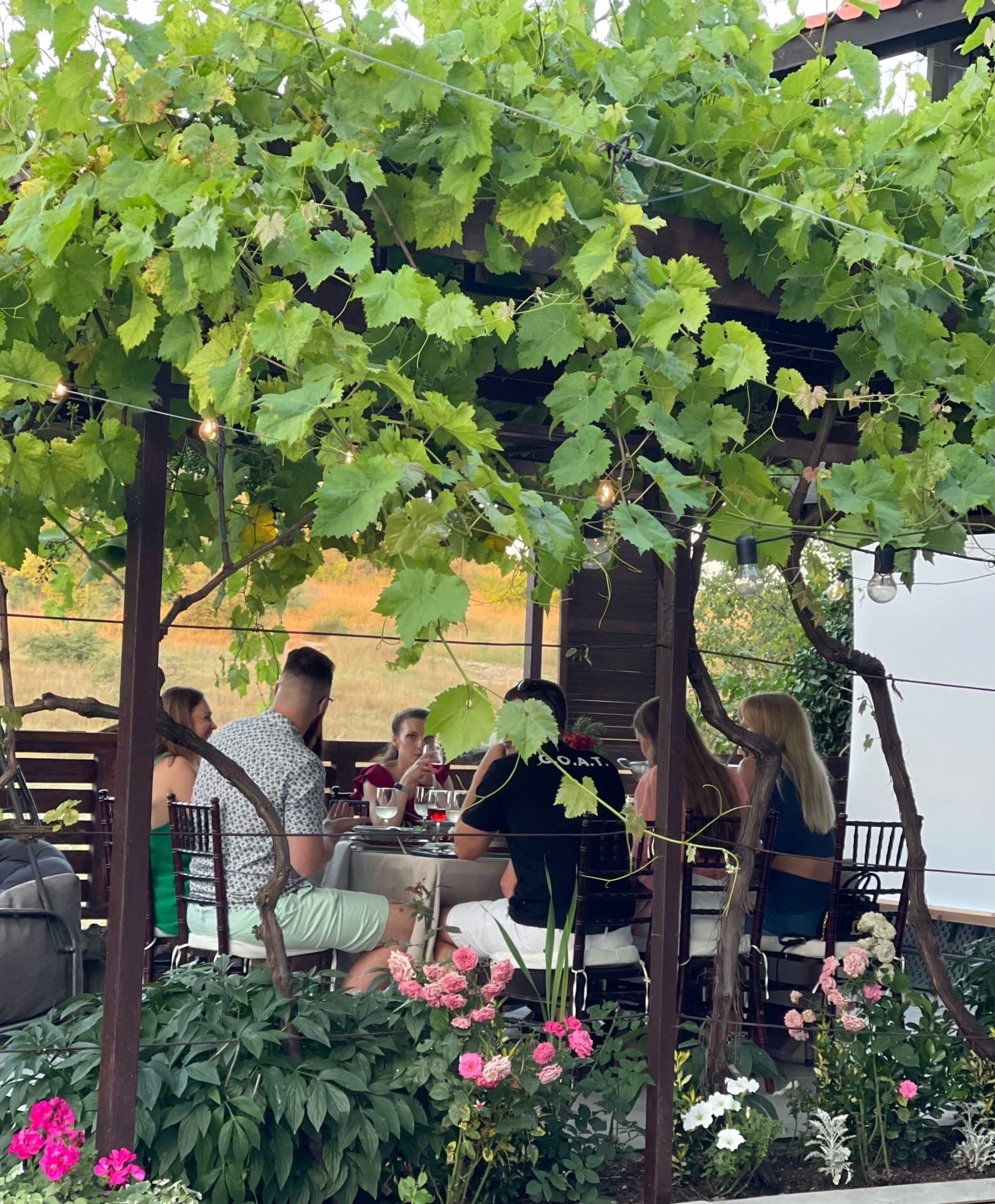 Фото Шато Бужор