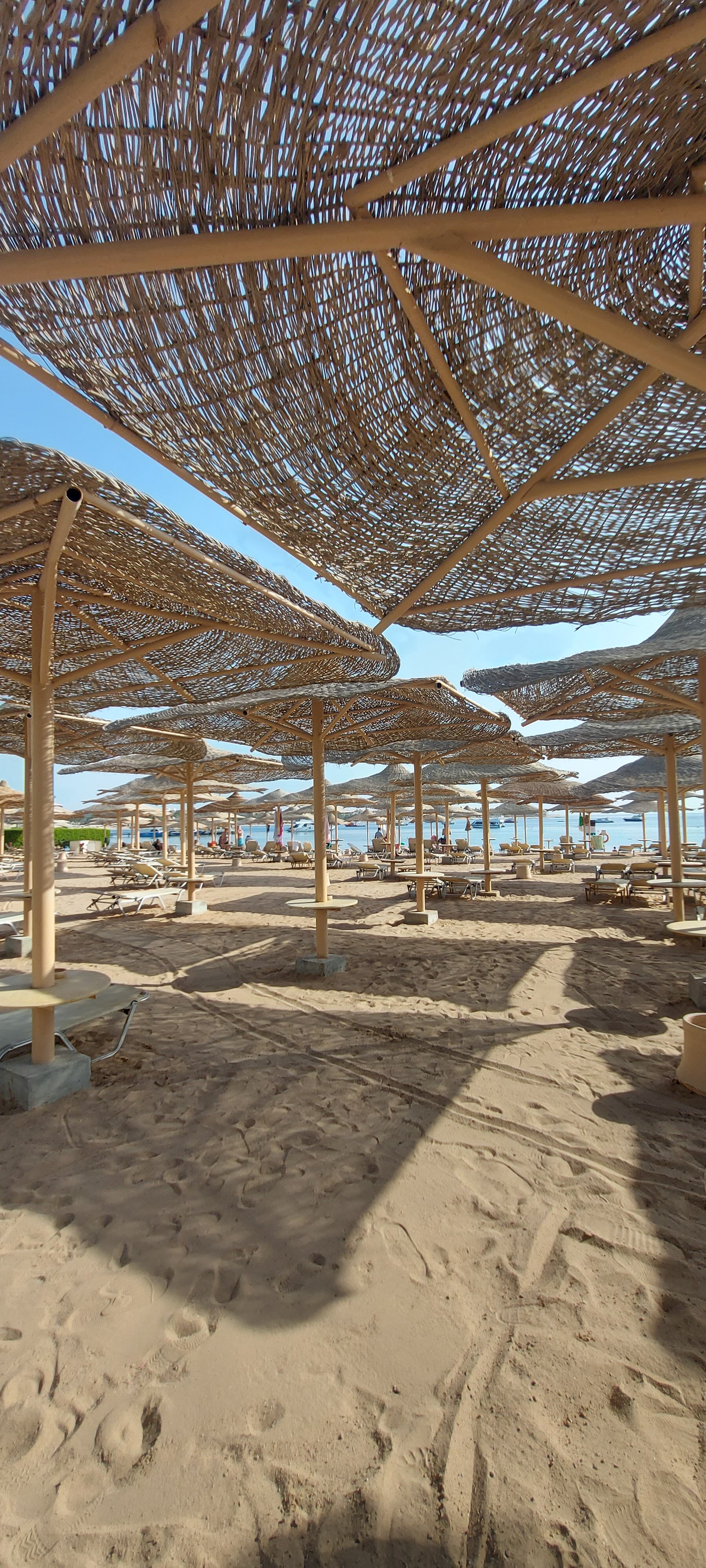 Фото Jaz Makadi Saraya Resort