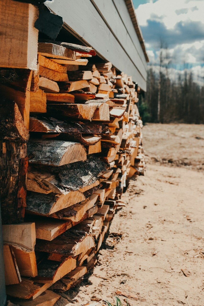 Фото Совенок