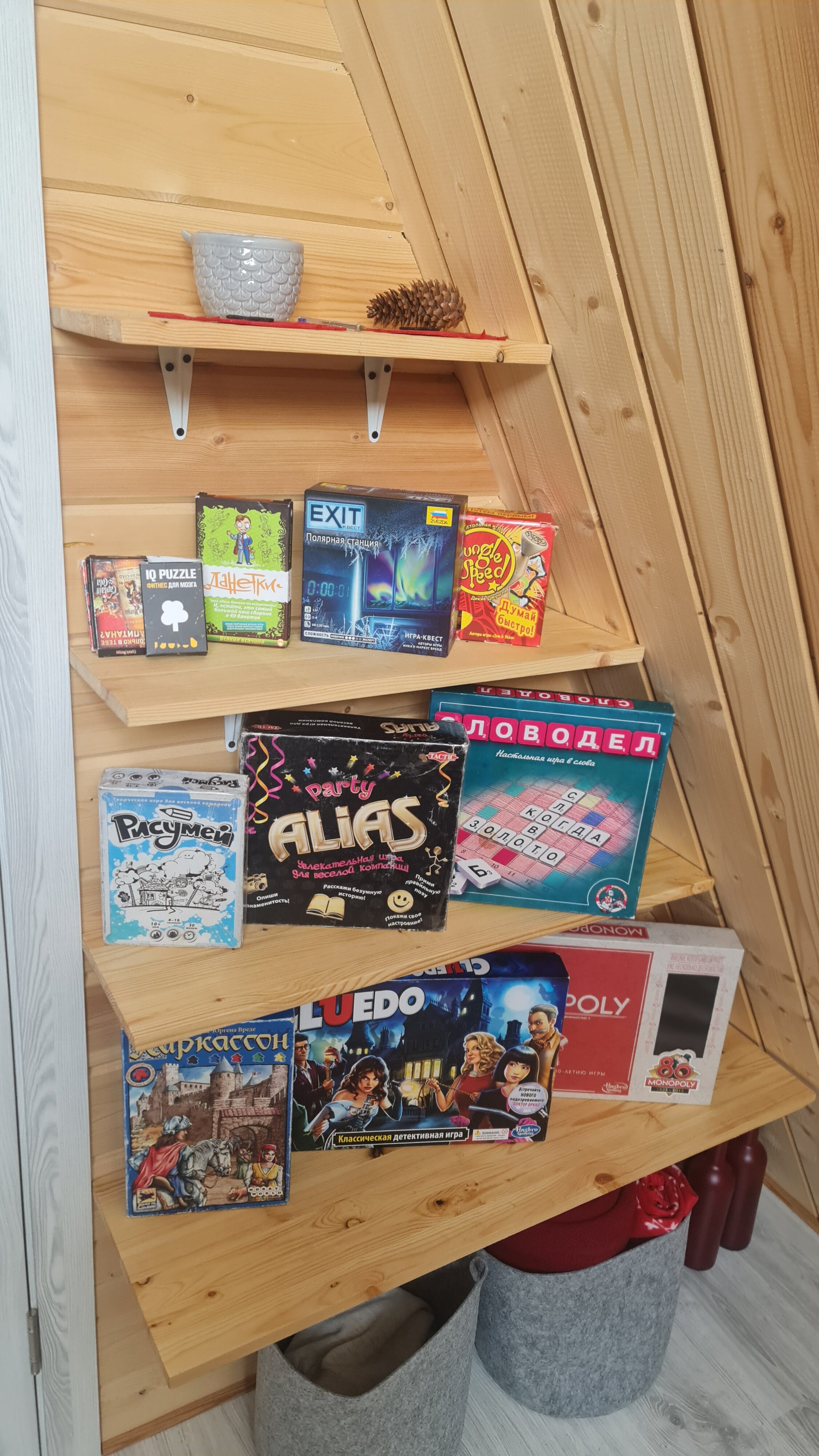 Фото Совенок