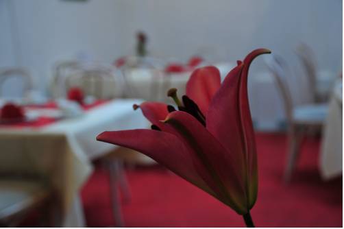 Фото Cerano City Hotel Koln Am Dom