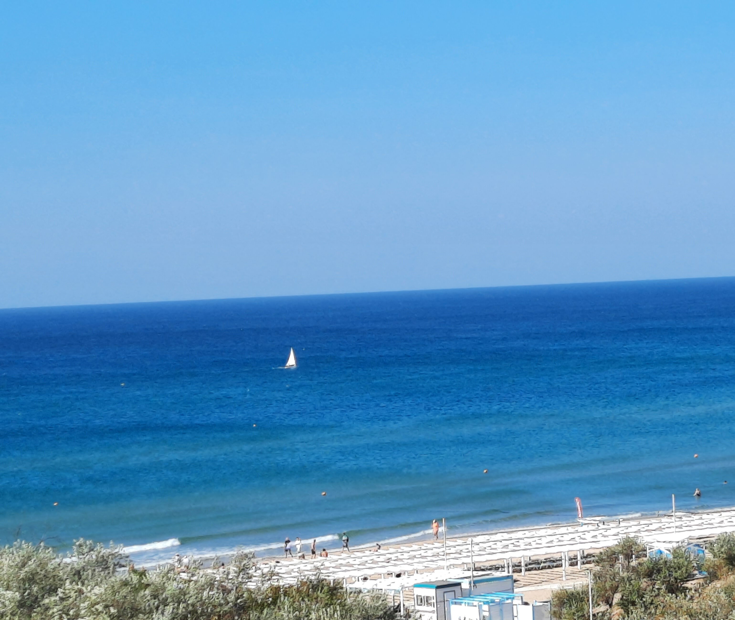 Фото Alfa Summer