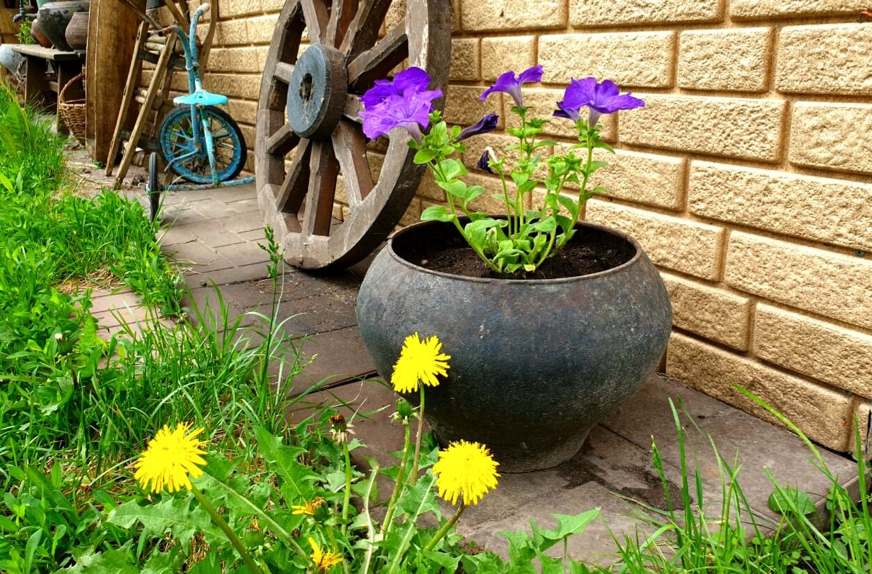 Фото Дивный дворик