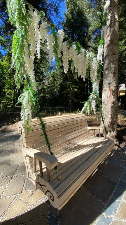 Фото Пихта-парк