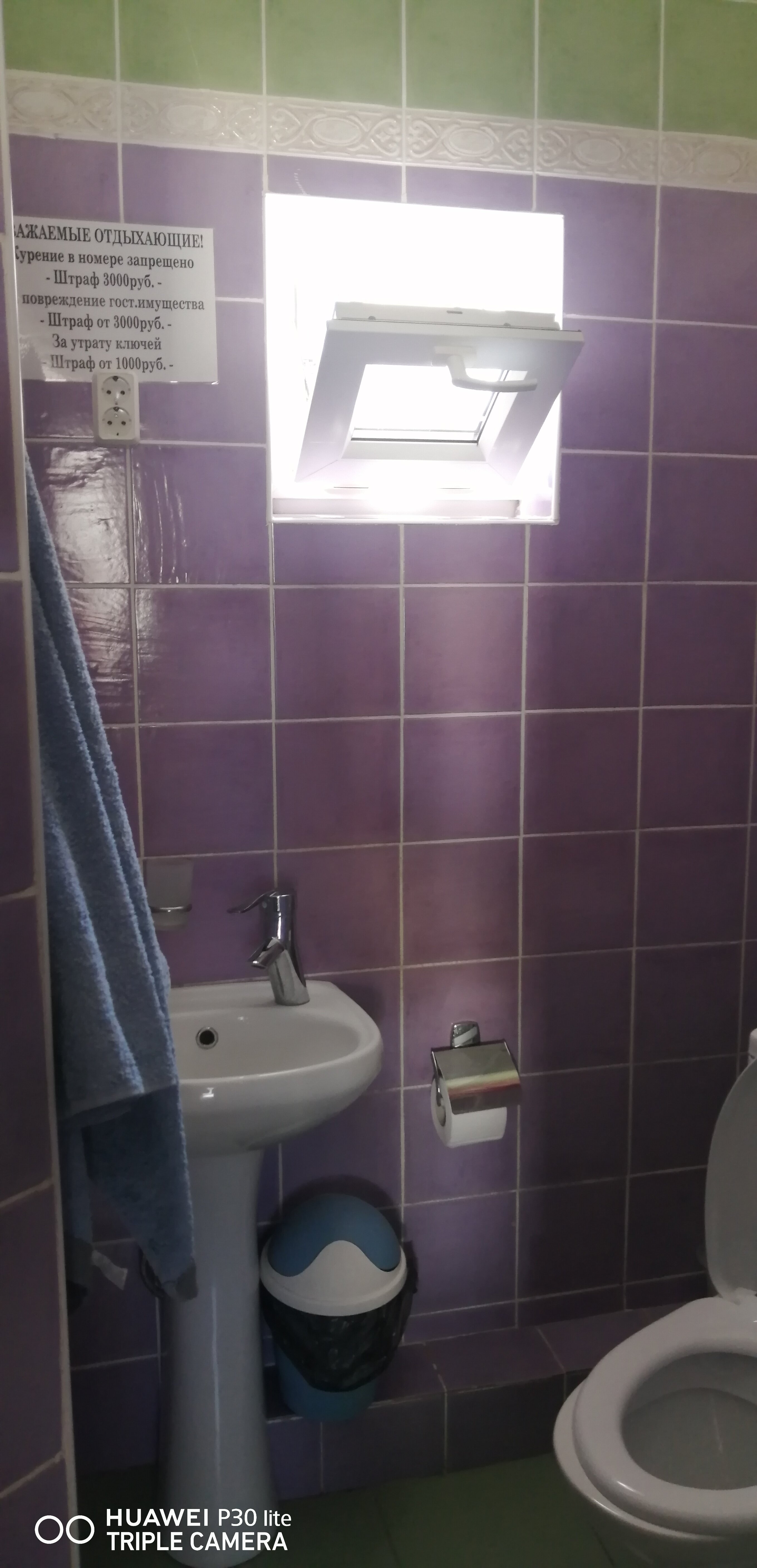 Фото Малина