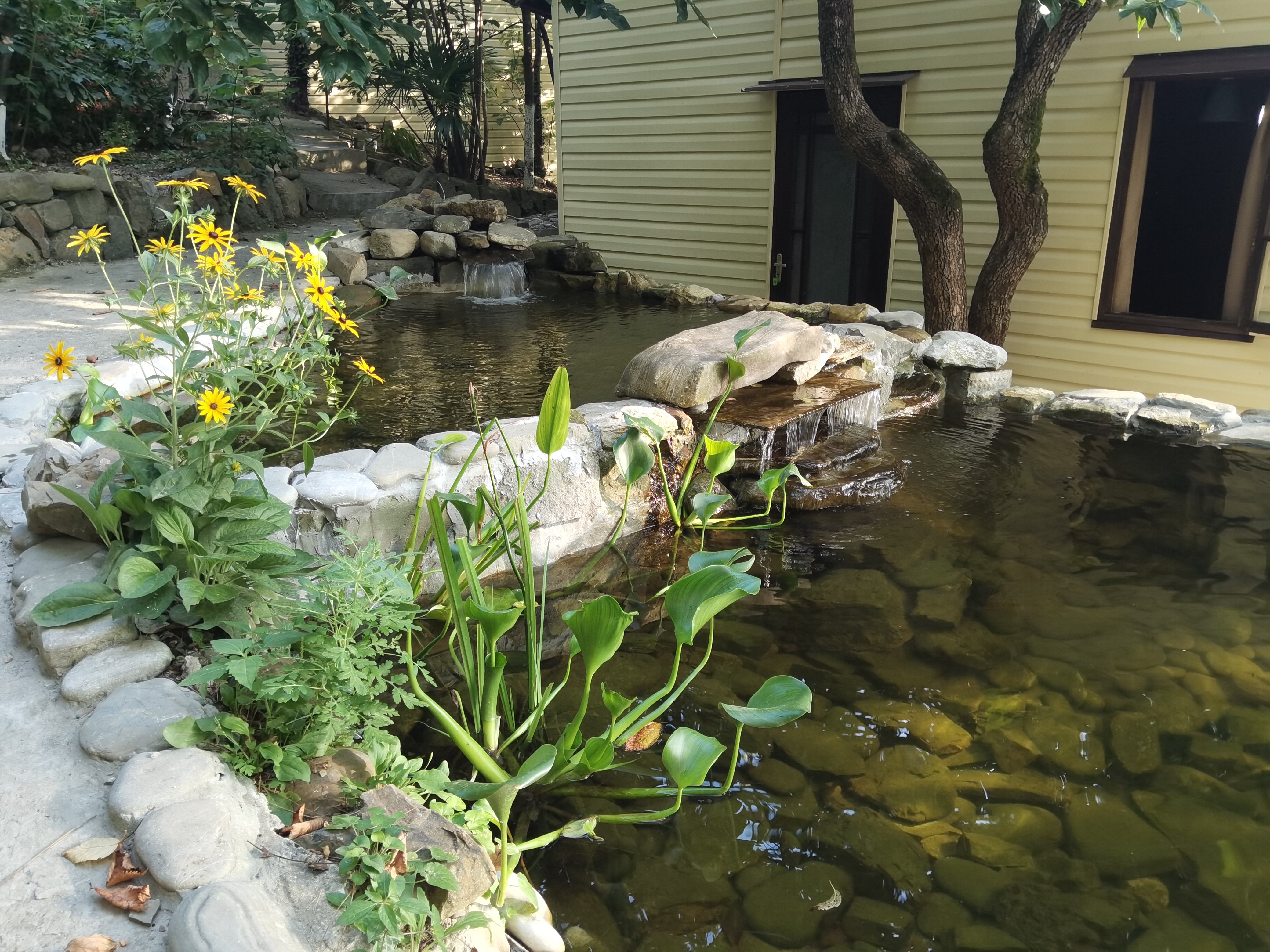 Фото Сосновый Бор