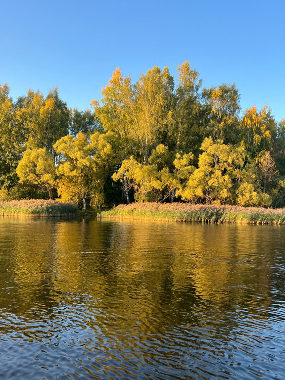 Фото Веточка