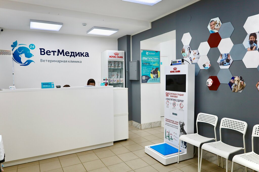 Ветеринарная клиника ВетМедика, Смоленск, фото