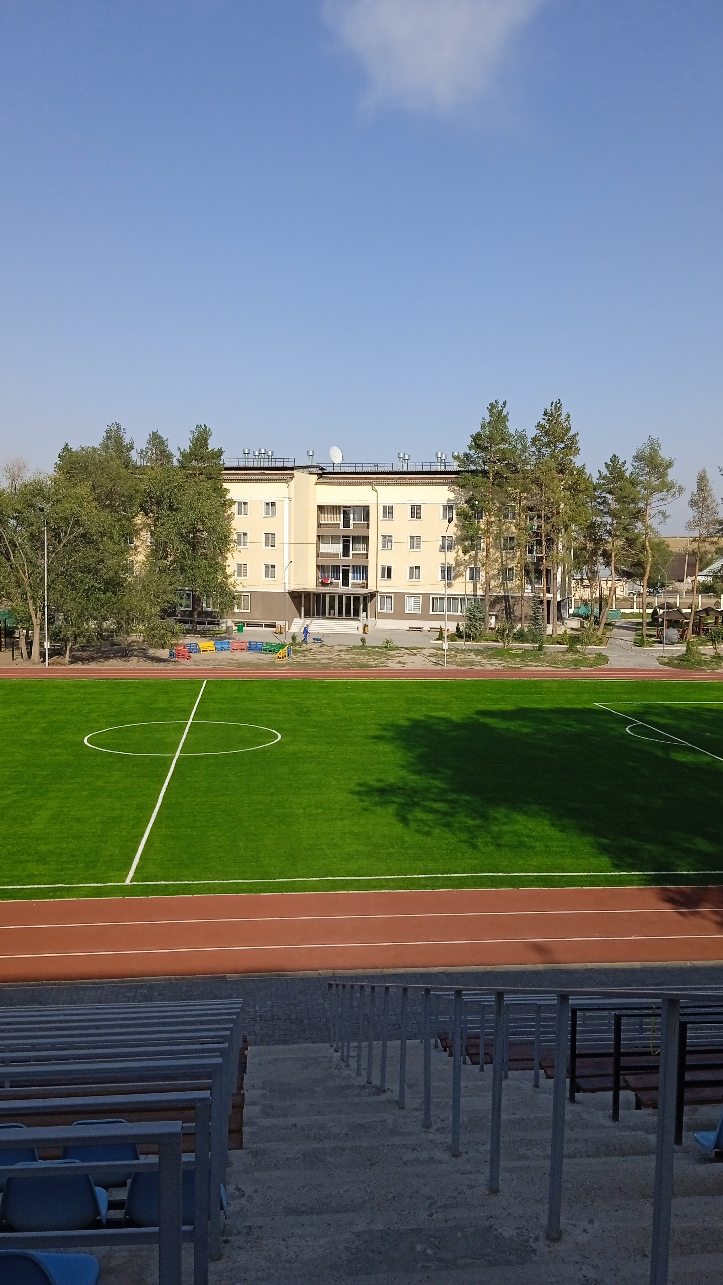 Жалаңаш балапандардың суреттері, жоғарғы көрініс