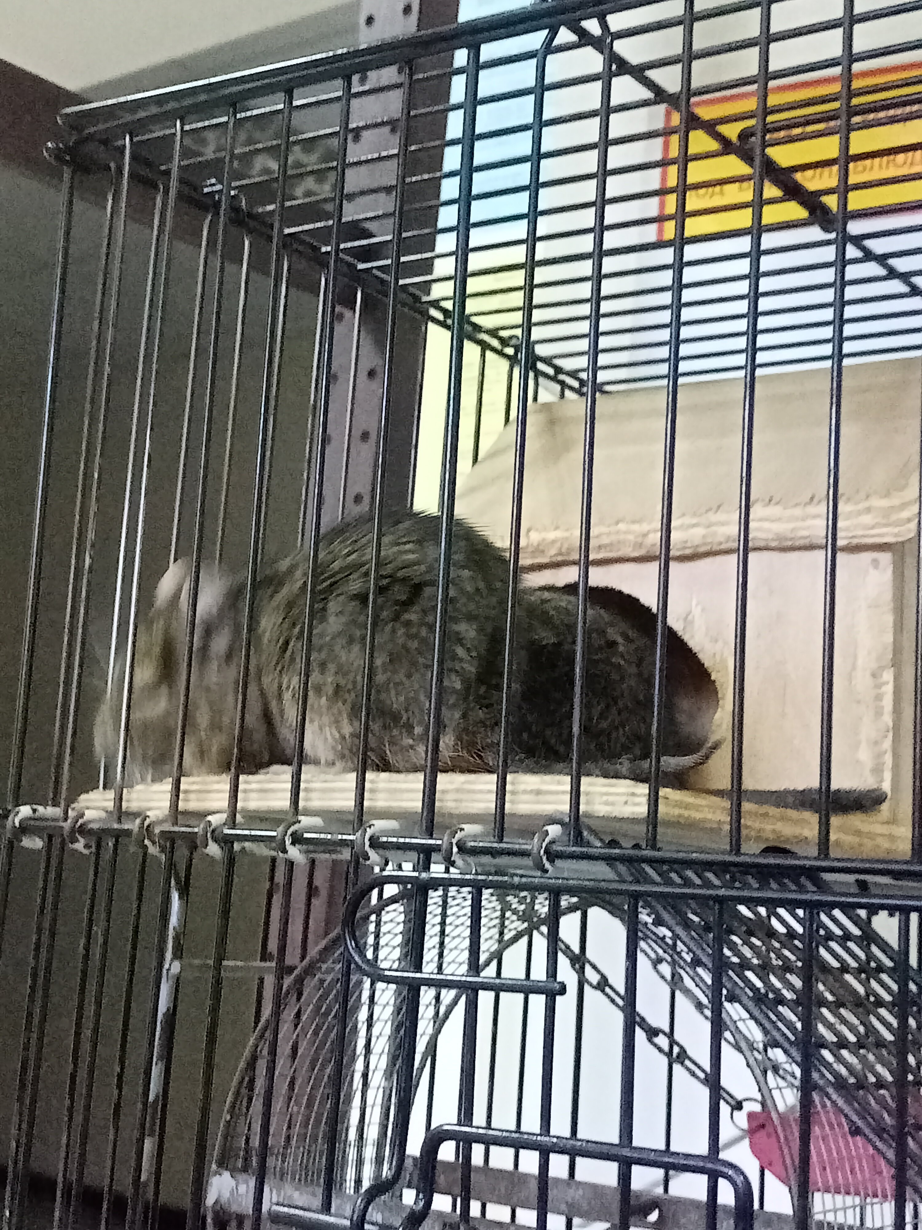 Фото Санаторий-профилакторий Дюжонок