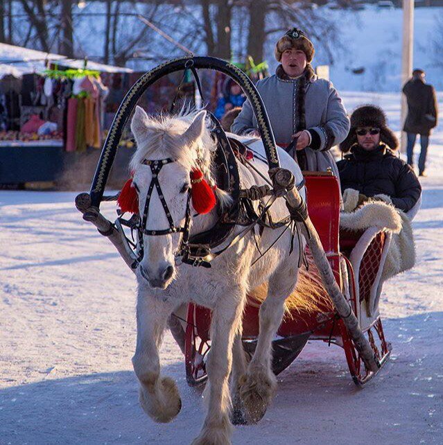 Фото Усадьба ямщика