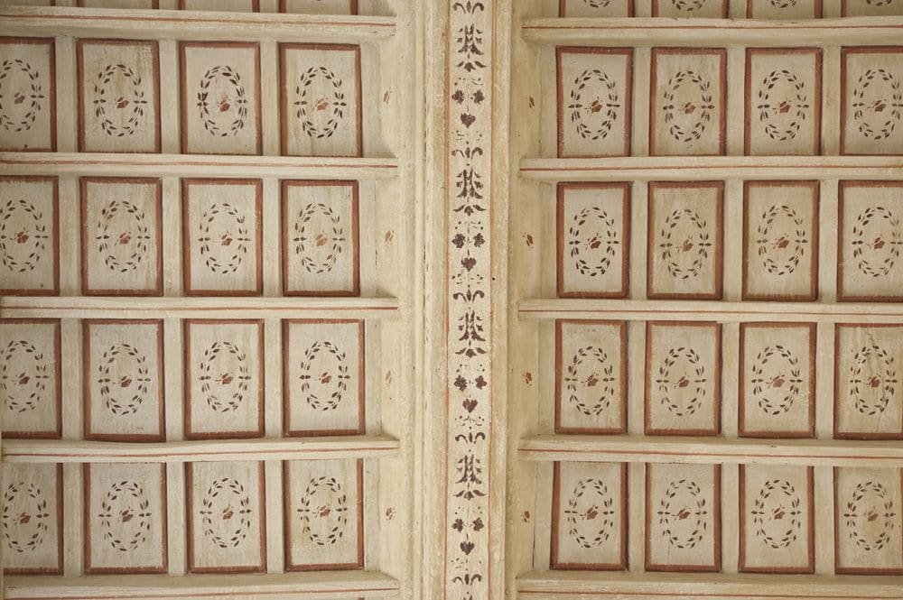 Фото Little Queen