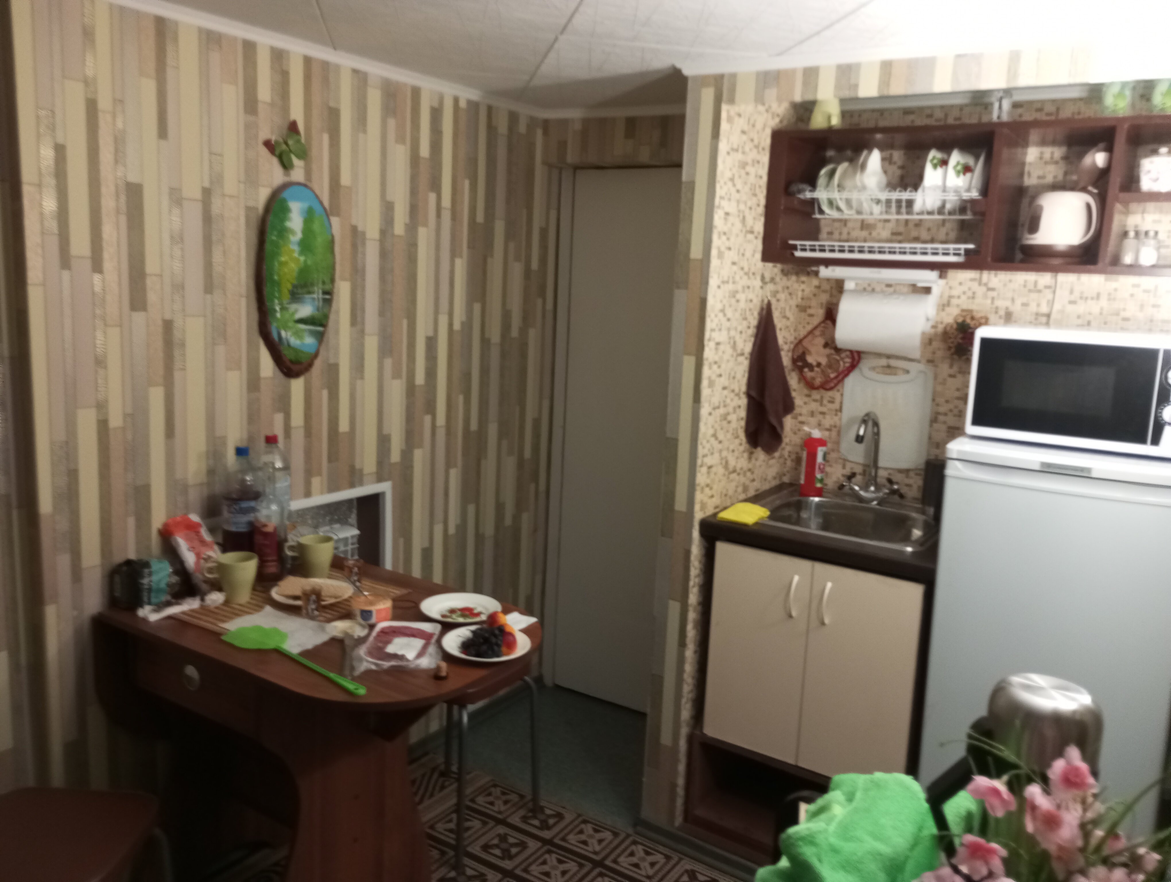 Фото Сенполия