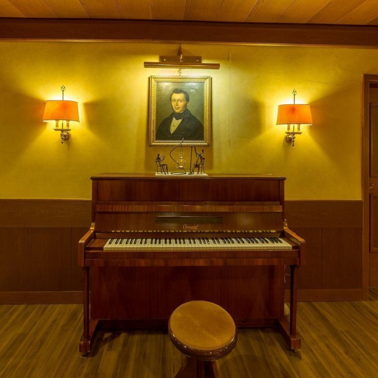 Фото Alpine City Wellness Hotel Dominik