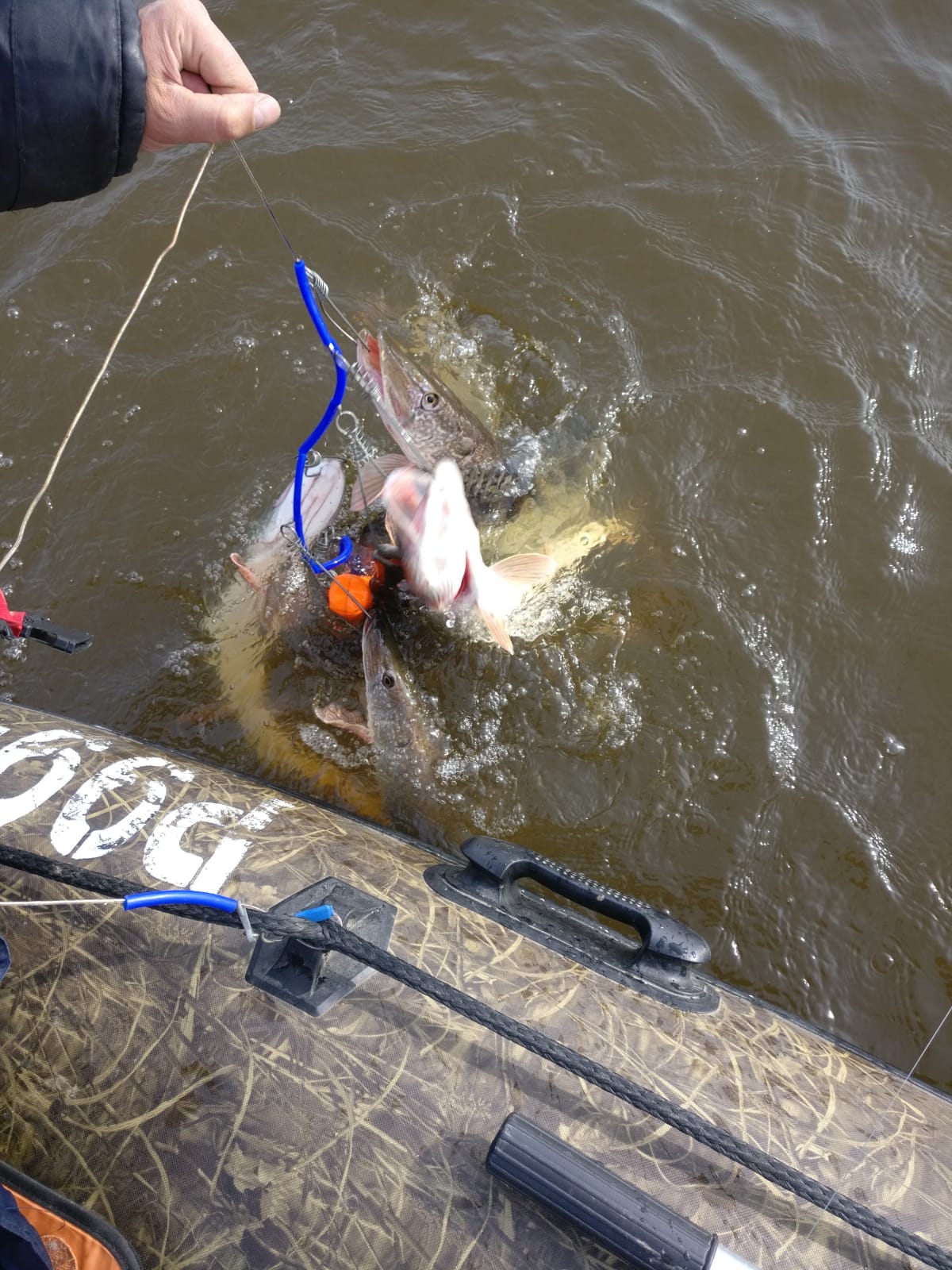 Фото Домик на дереве