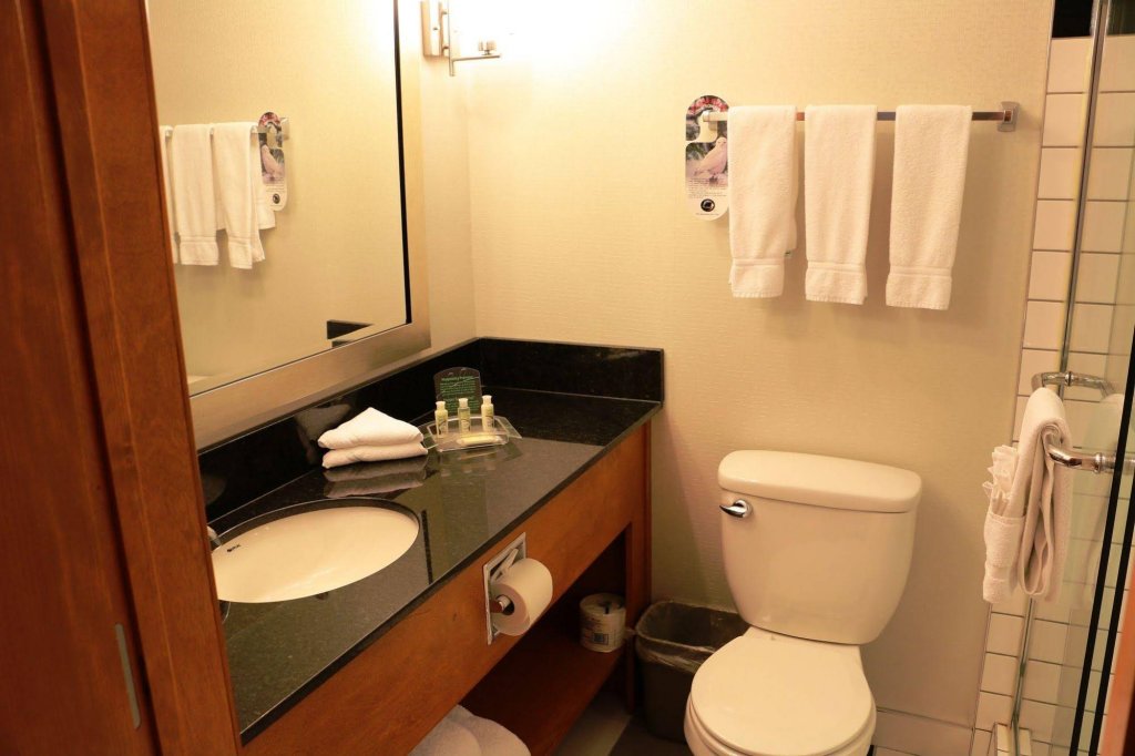 Фото Holiday Inn Calgary-Airport, an Ihg Hotel