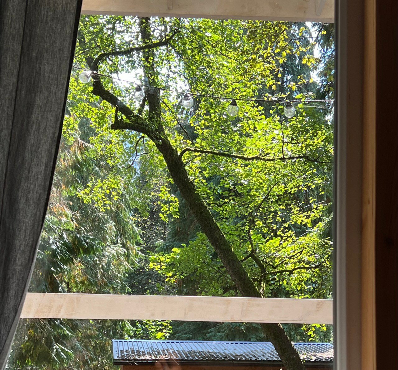 Фото Зайки в домике