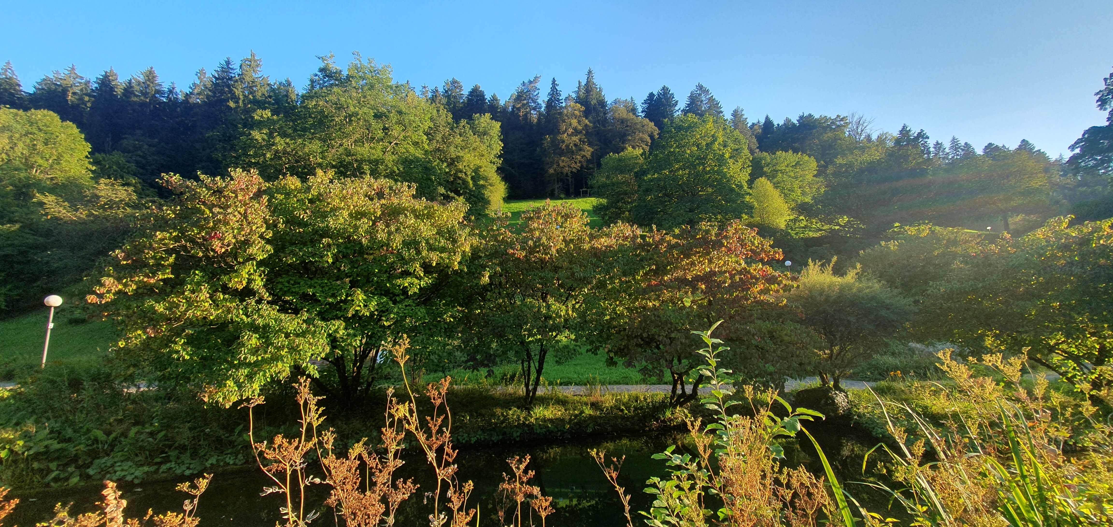 Фото Hotel Therme Bad Teinach