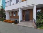 Reforma (Gromova Street, 24), trabajo catastral
