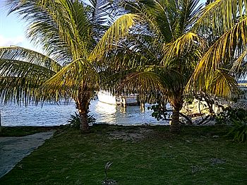 Фото Cariblue Beach Hotel and Scuba Diving Resort