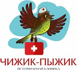 Логотип «Чижик Пыжик»