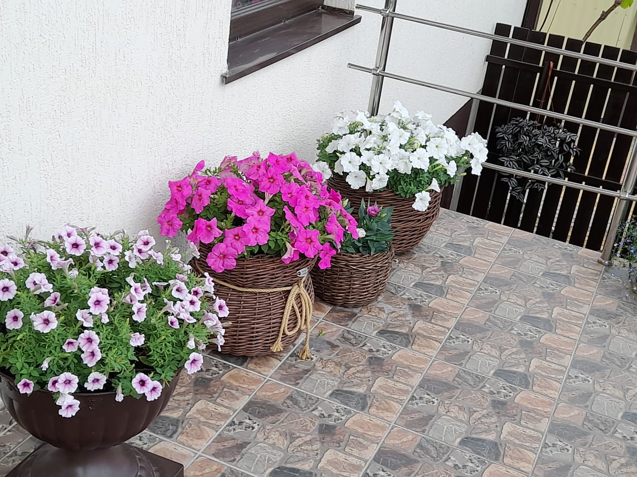 Фото Мишелье