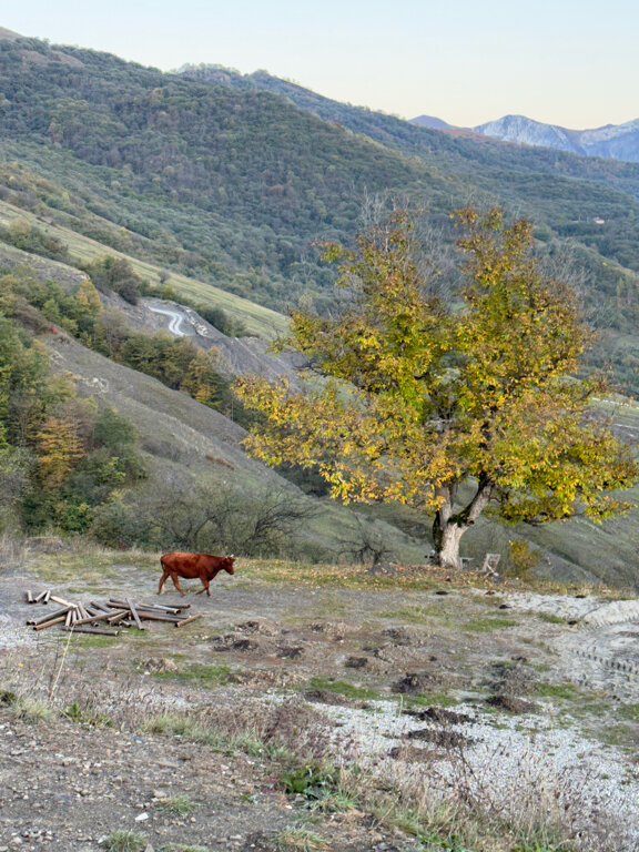 Фото Edelweiss Hotel