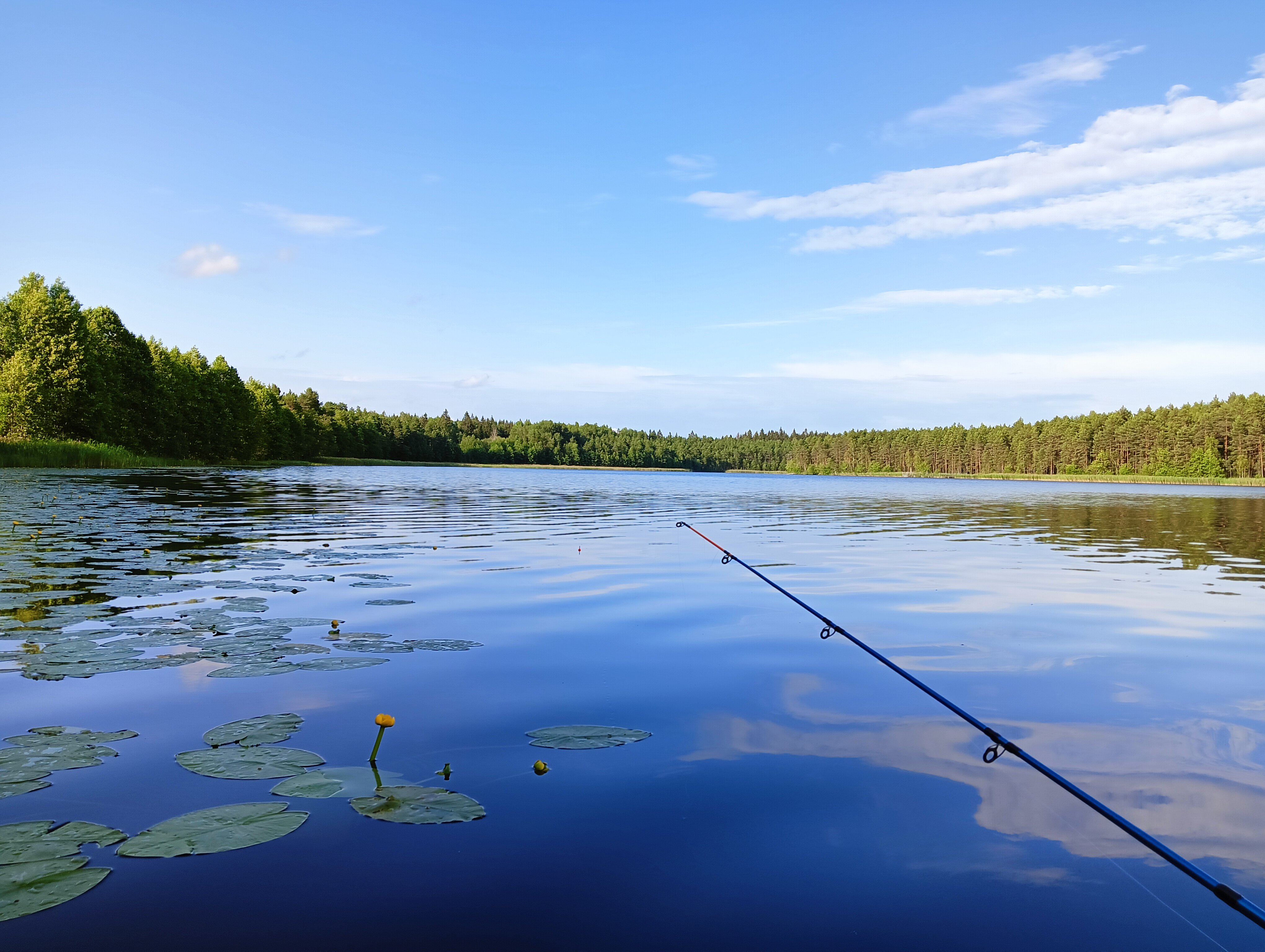 Фото Лужская деревня