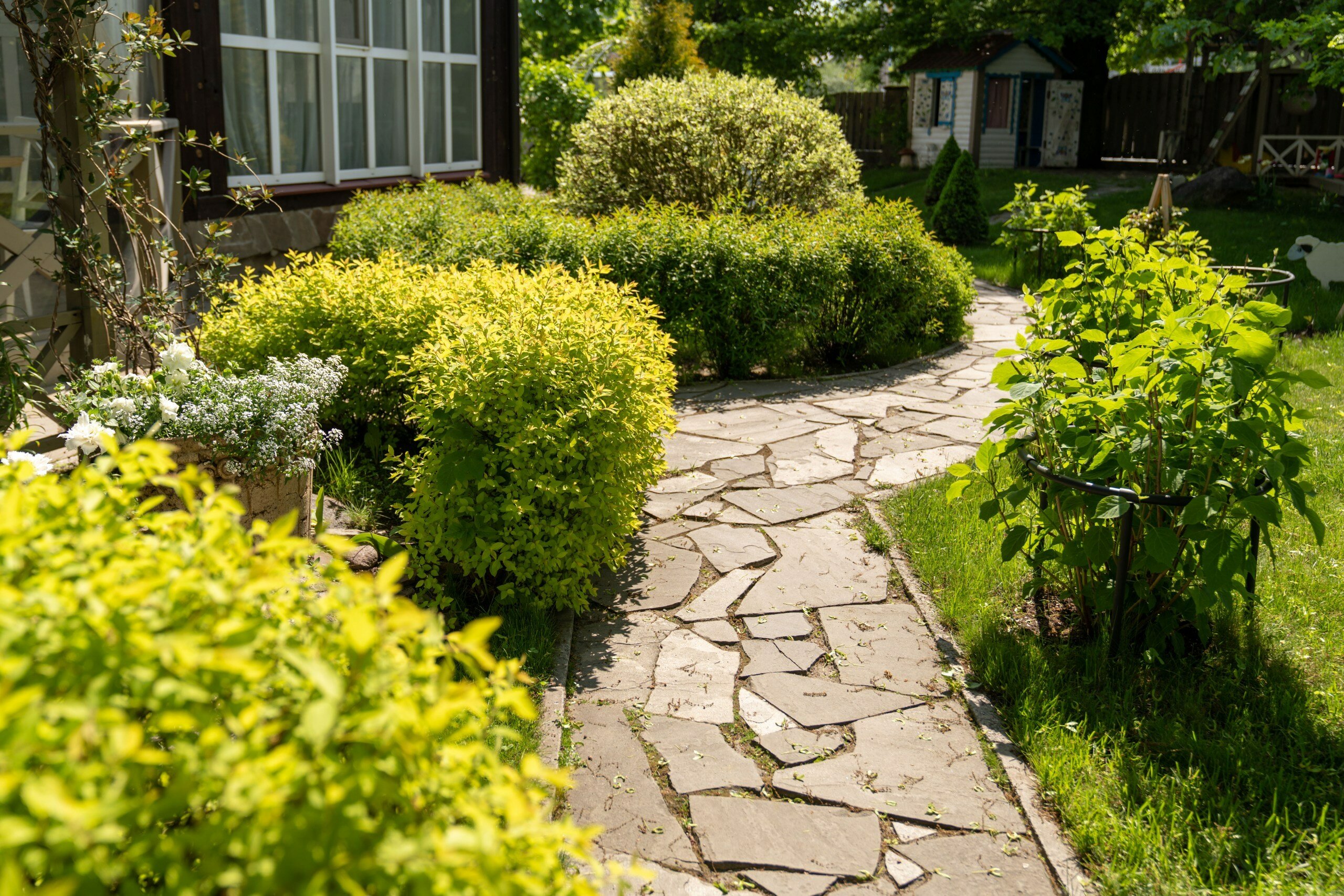 Фото Ближние Дубки