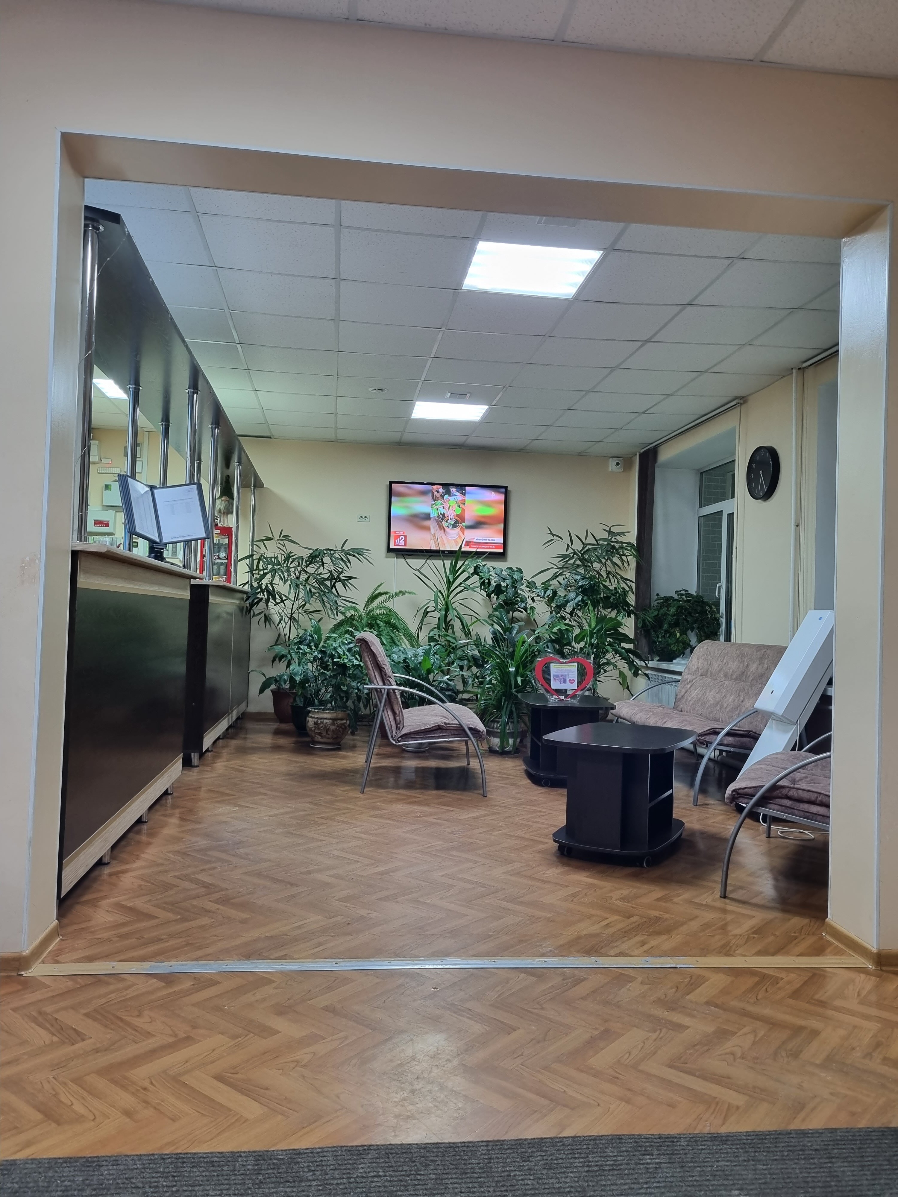 Фото Сафари