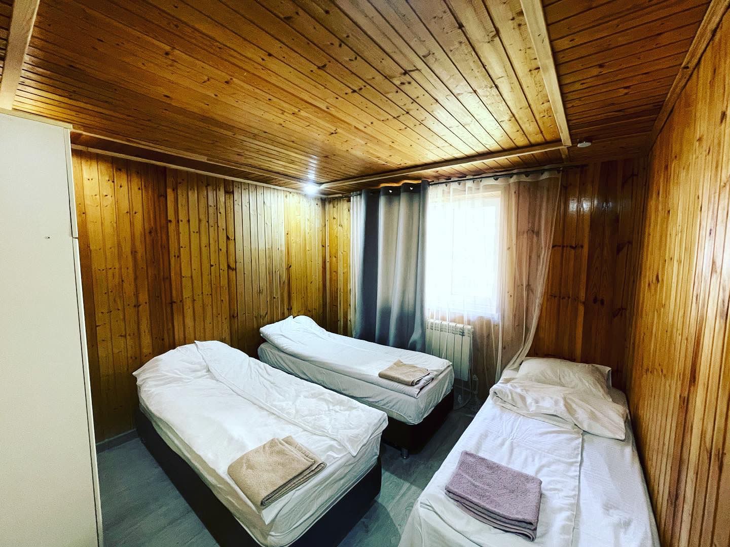 Фото 3 сосны