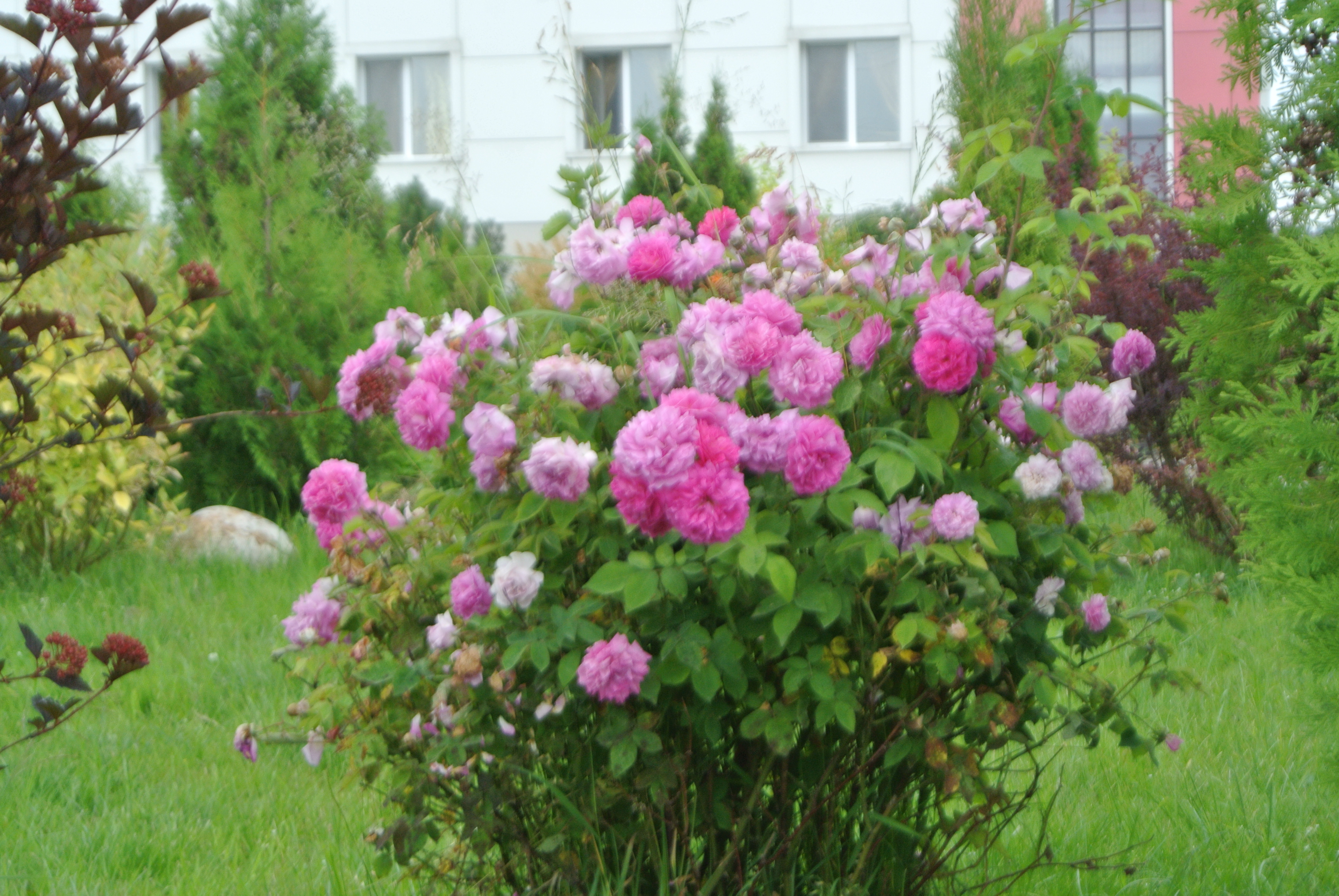 Фото Ярославское подворье