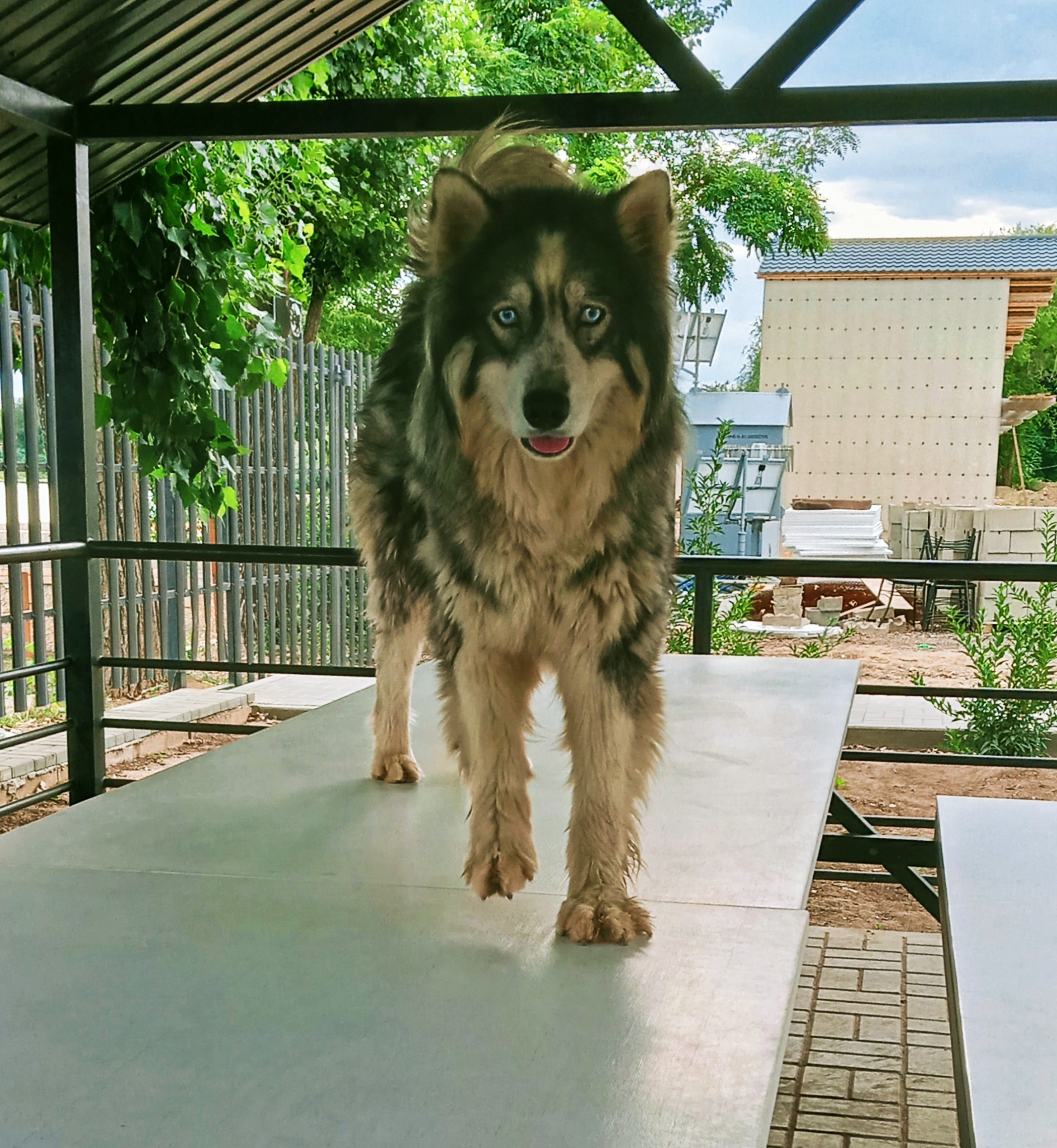 Фото Пристань