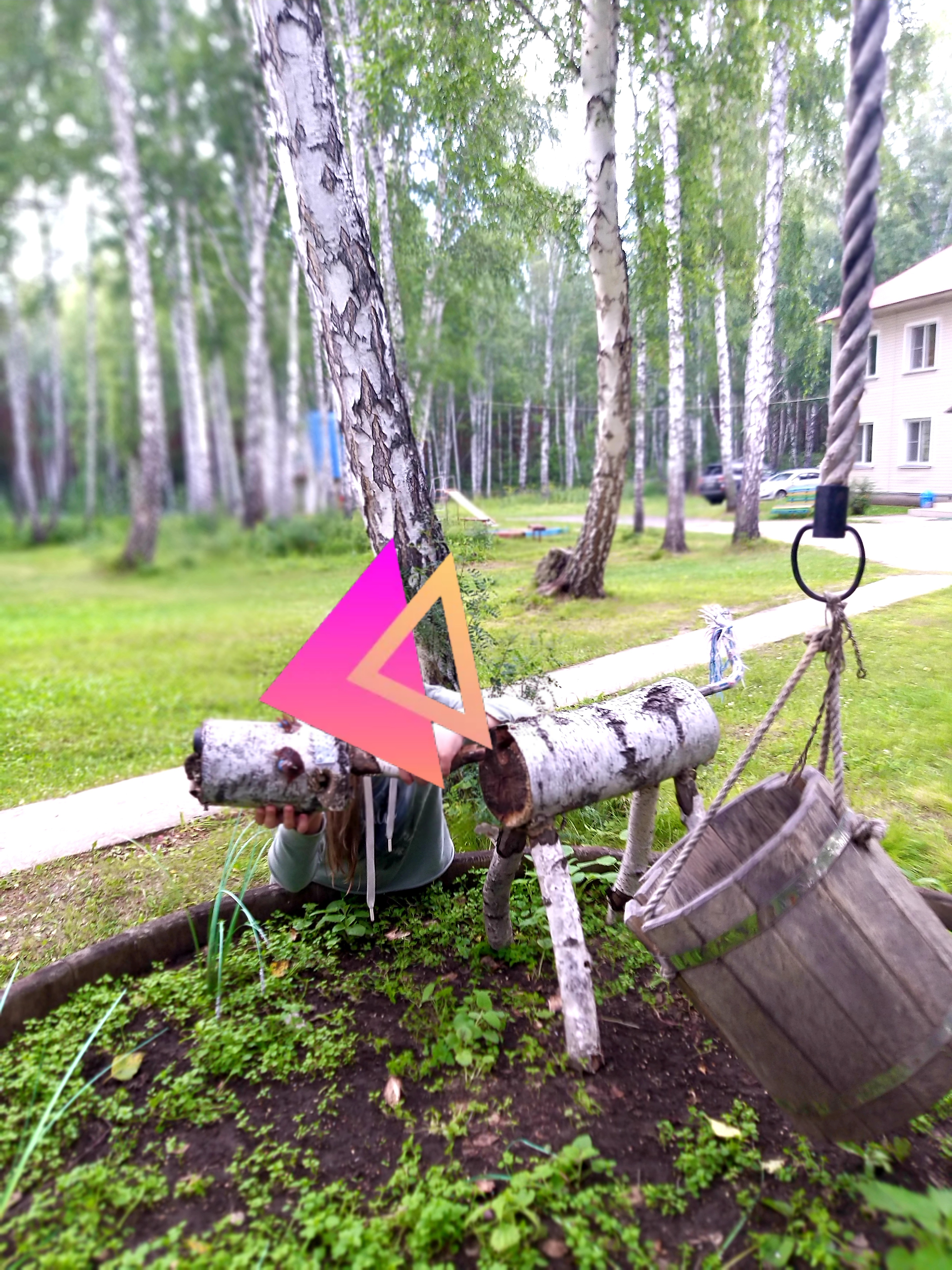 Фото Зелёная поляна