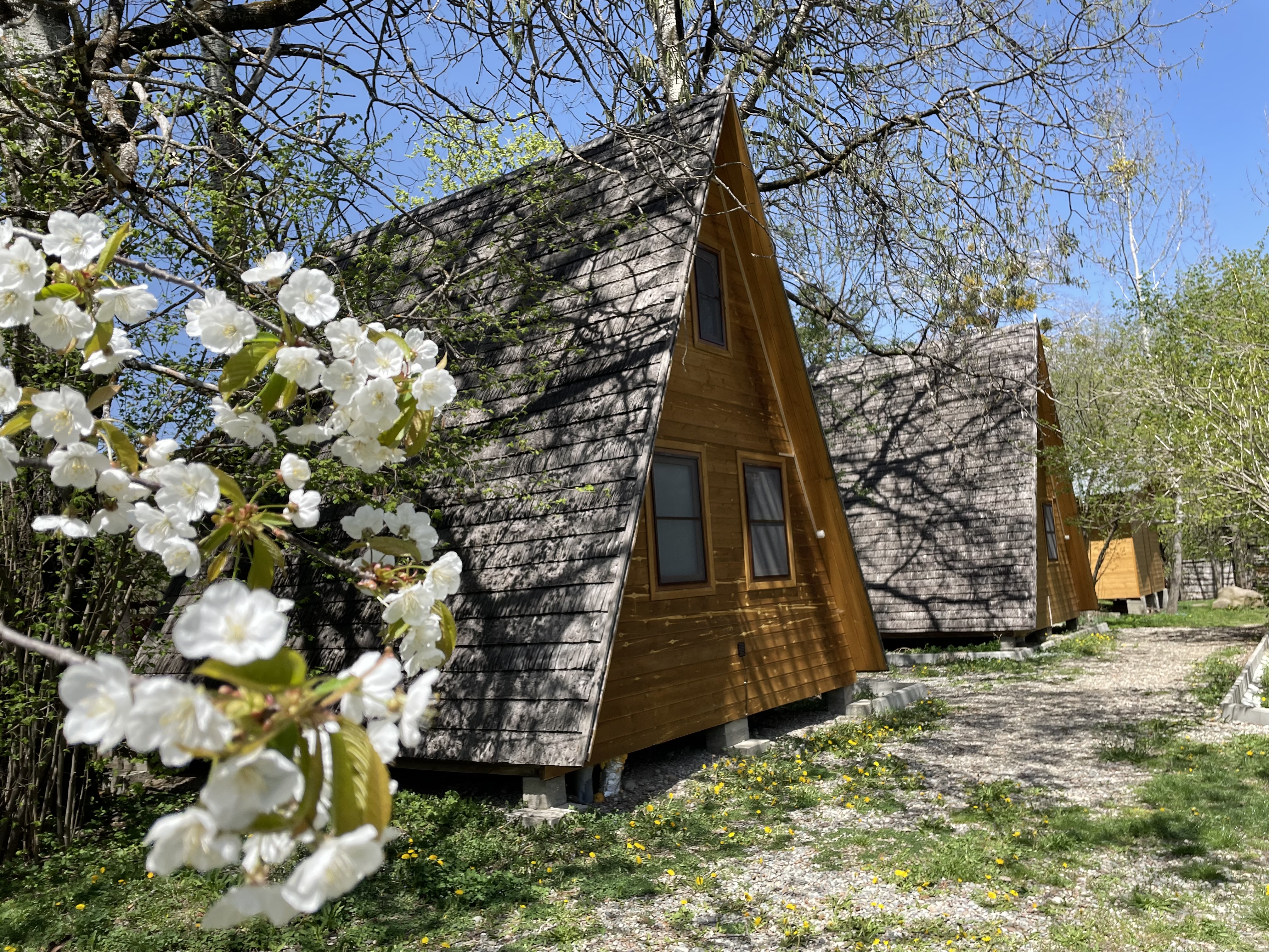 Фото Теремки у реки по дороге на Архыз