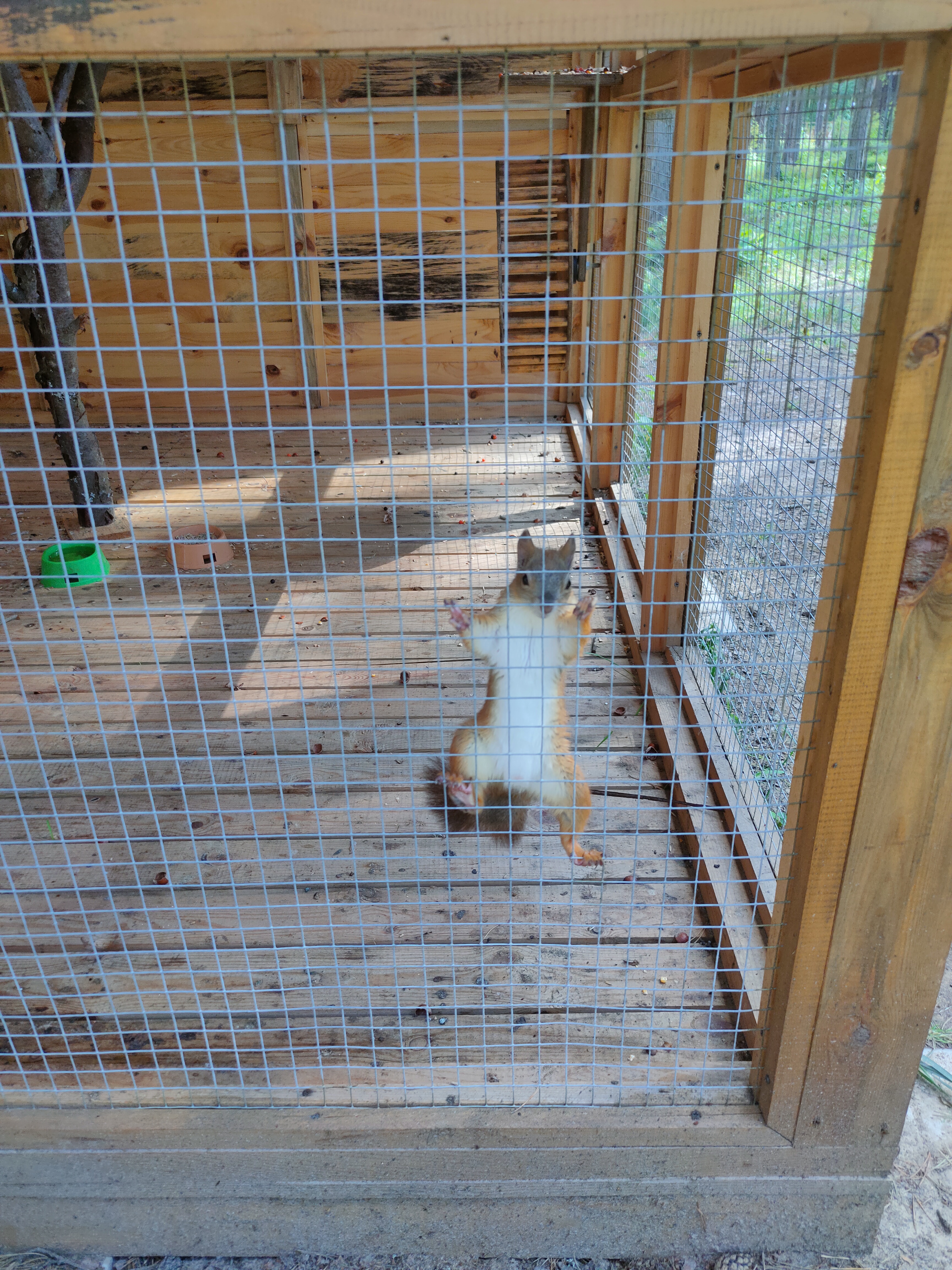 Фото Sherwood Park Hotel