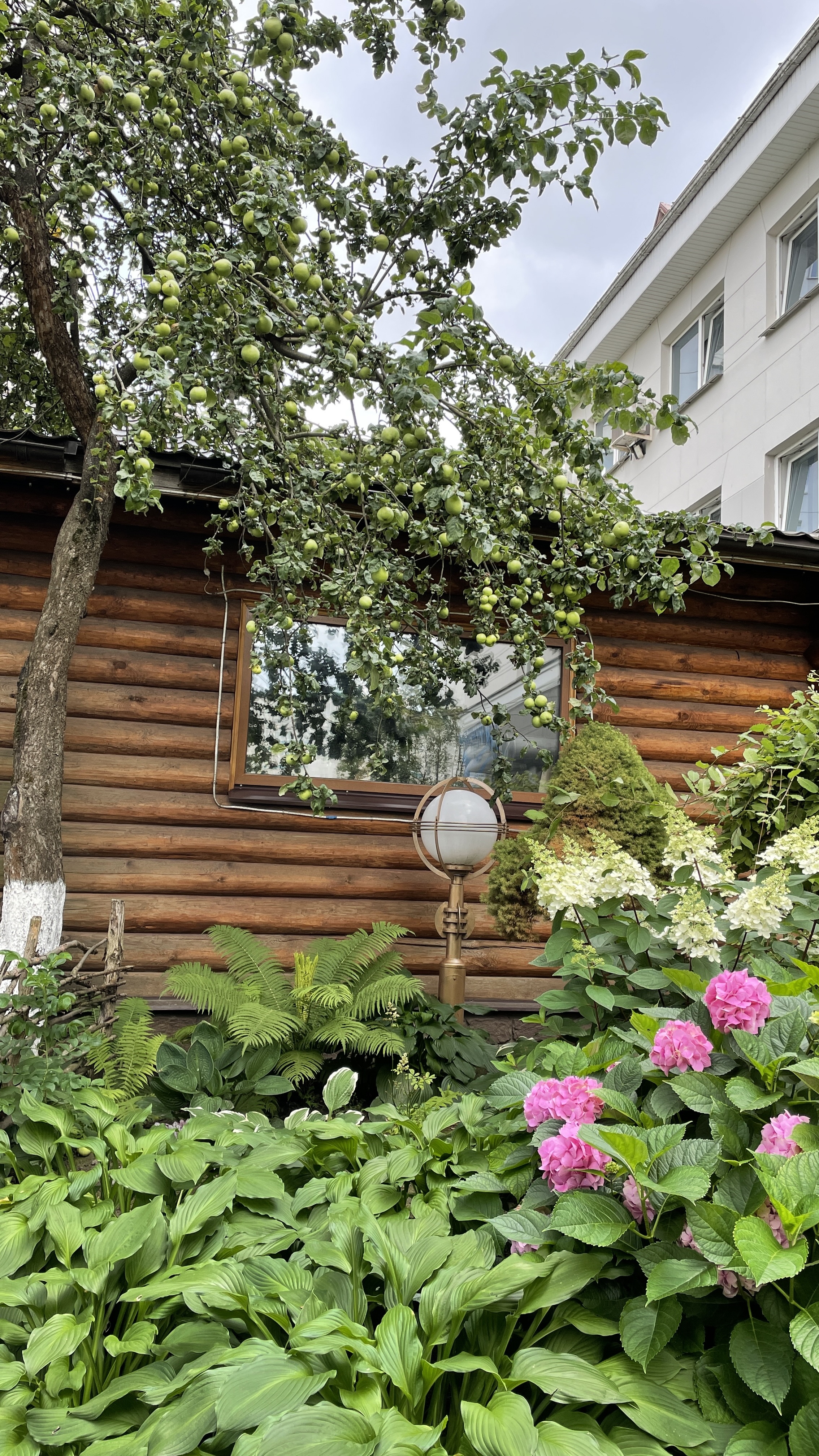 Фото У фонтана