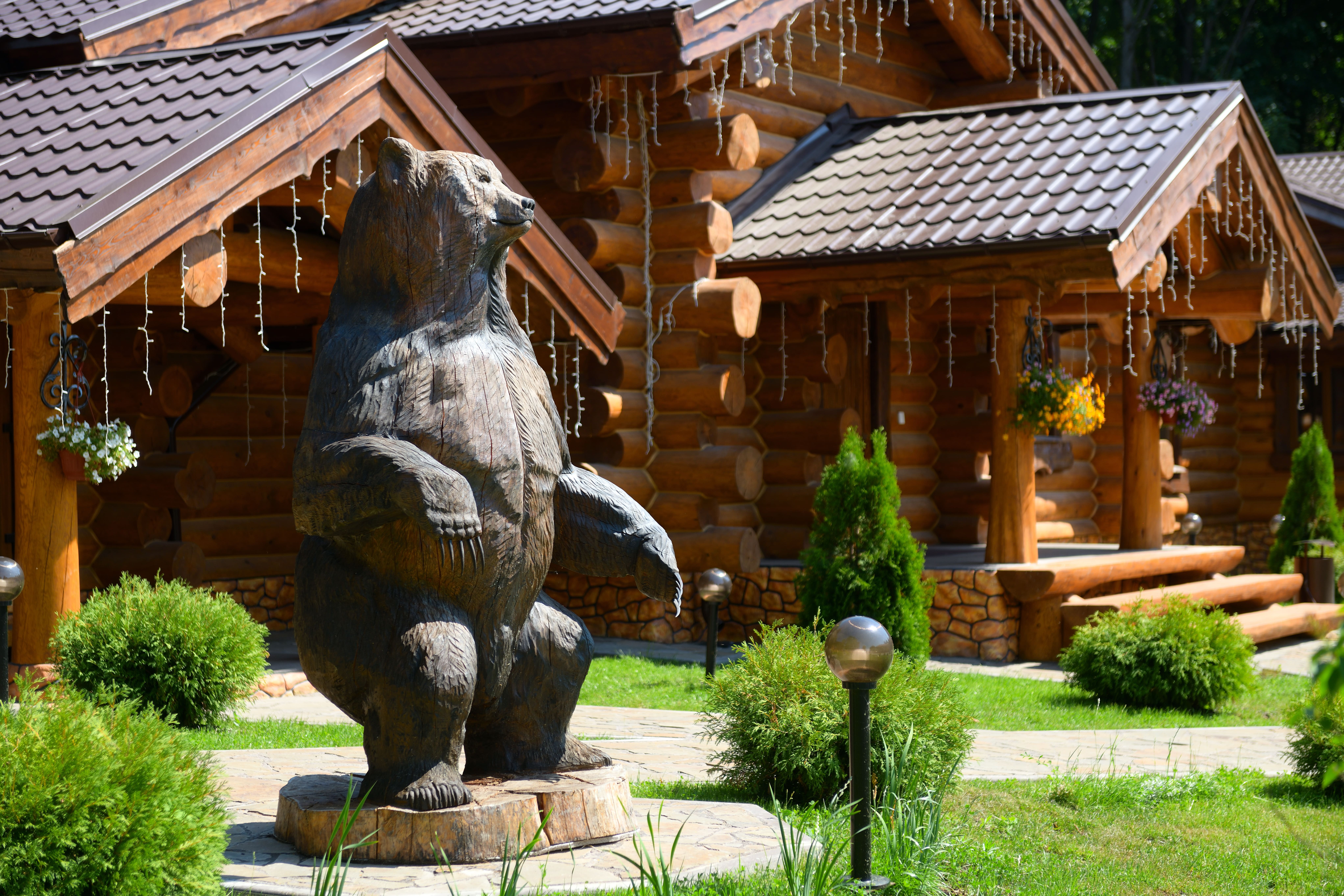 Фото Русский пар