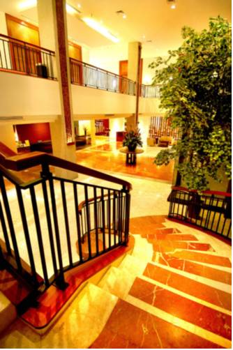 Фото Swiss-Belhotel Manokwari