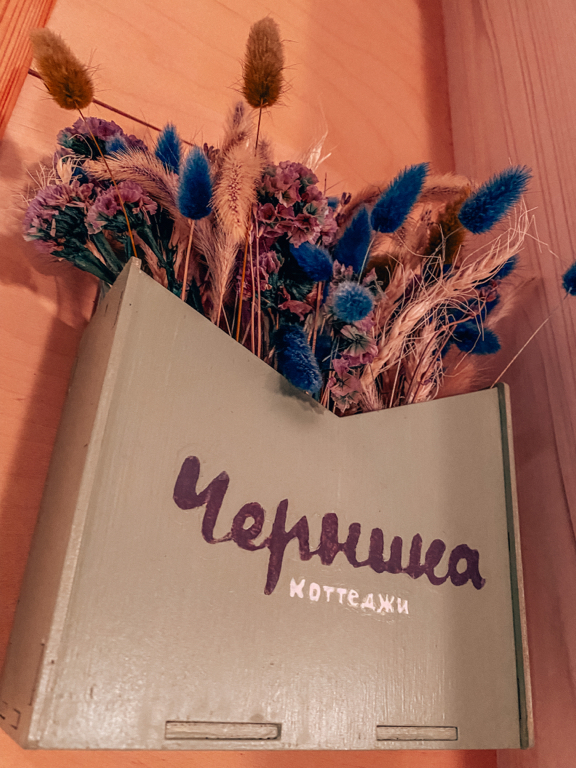 Фото Черника