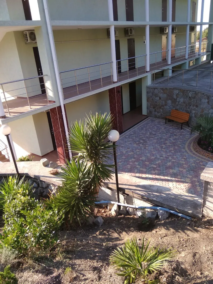 Фото Дельфин