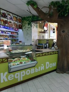 отель Кедровый дом
