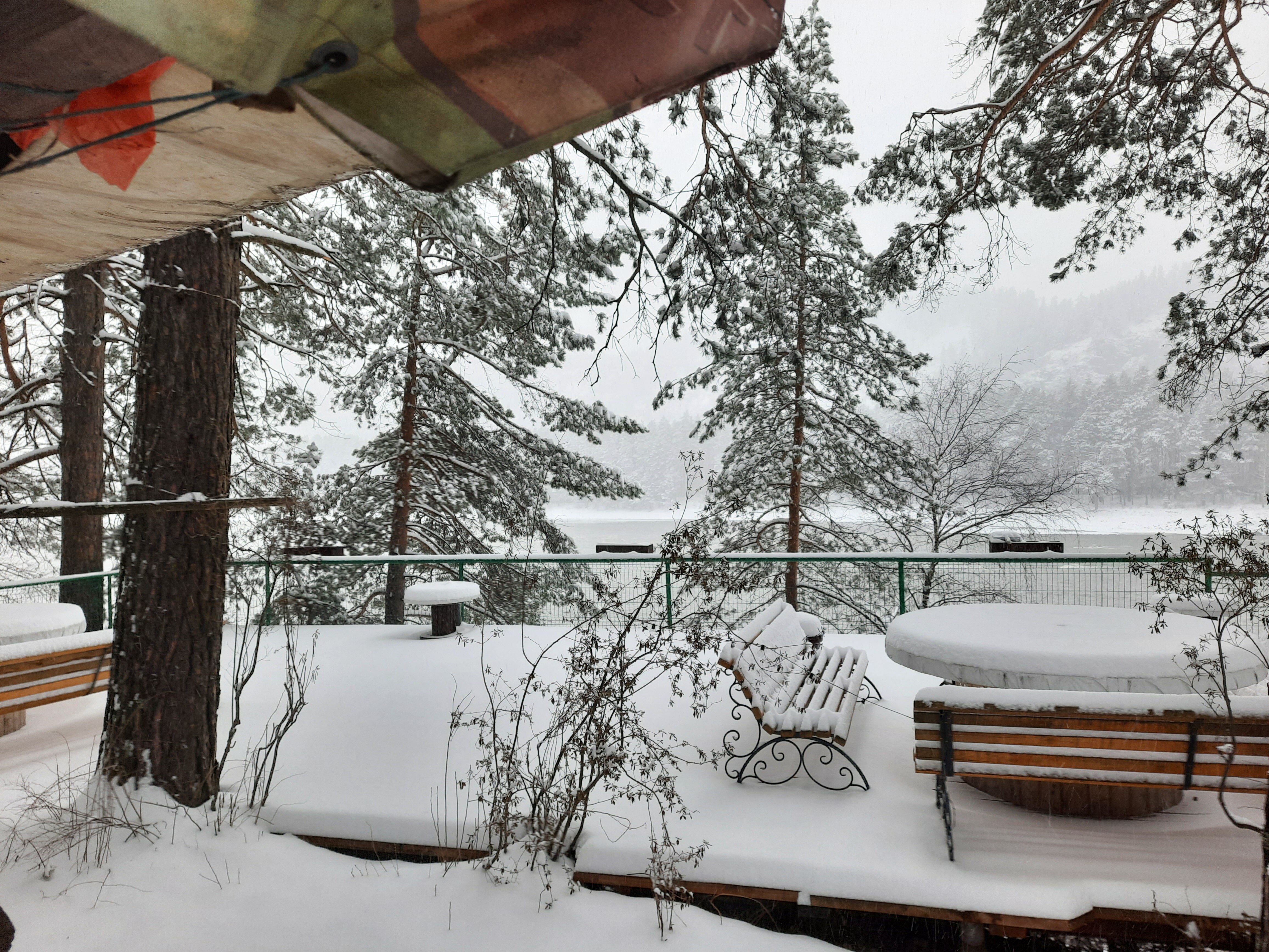 Фото На Алтае