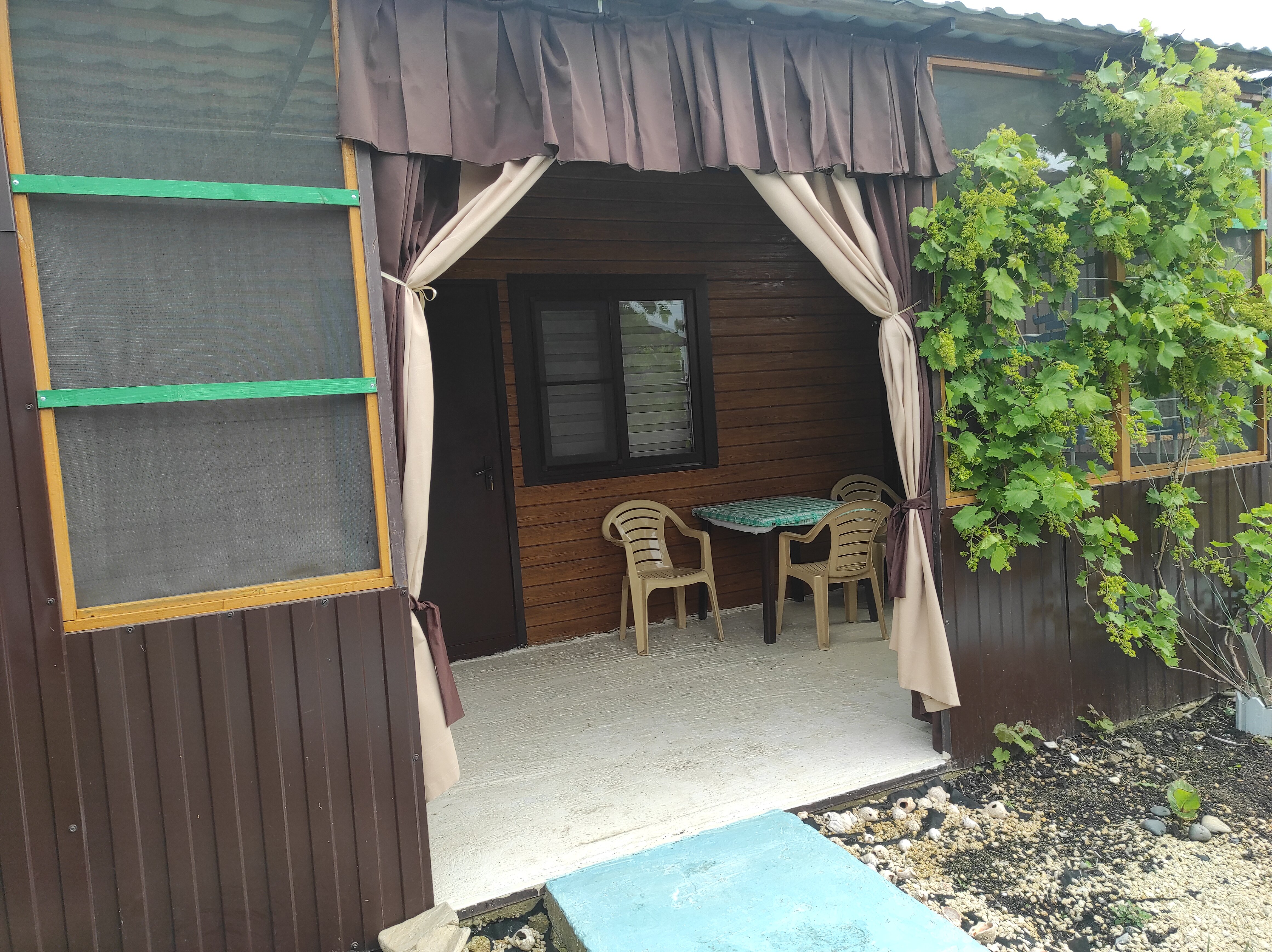 Фото Лукоморье