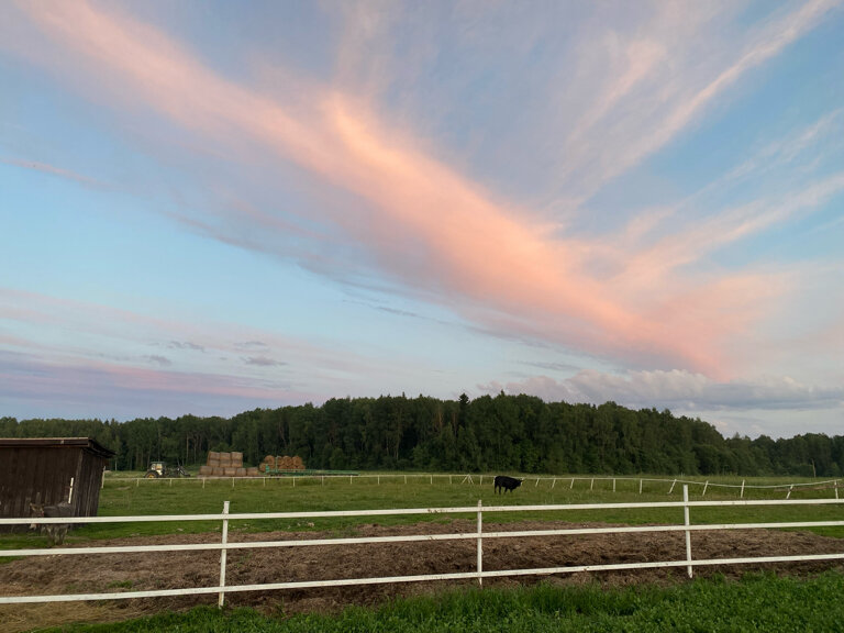 Фото Гастроранчо Хэппи Фарм