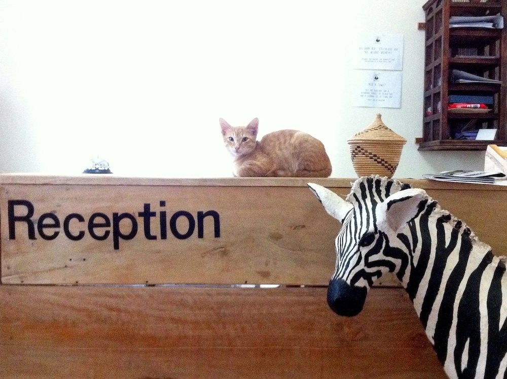 Фото отеля 5