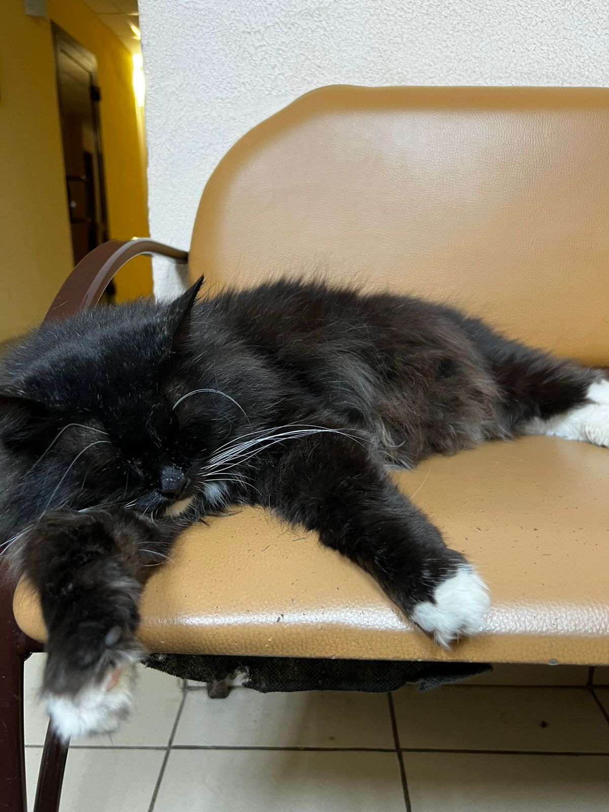 Фото Мещера