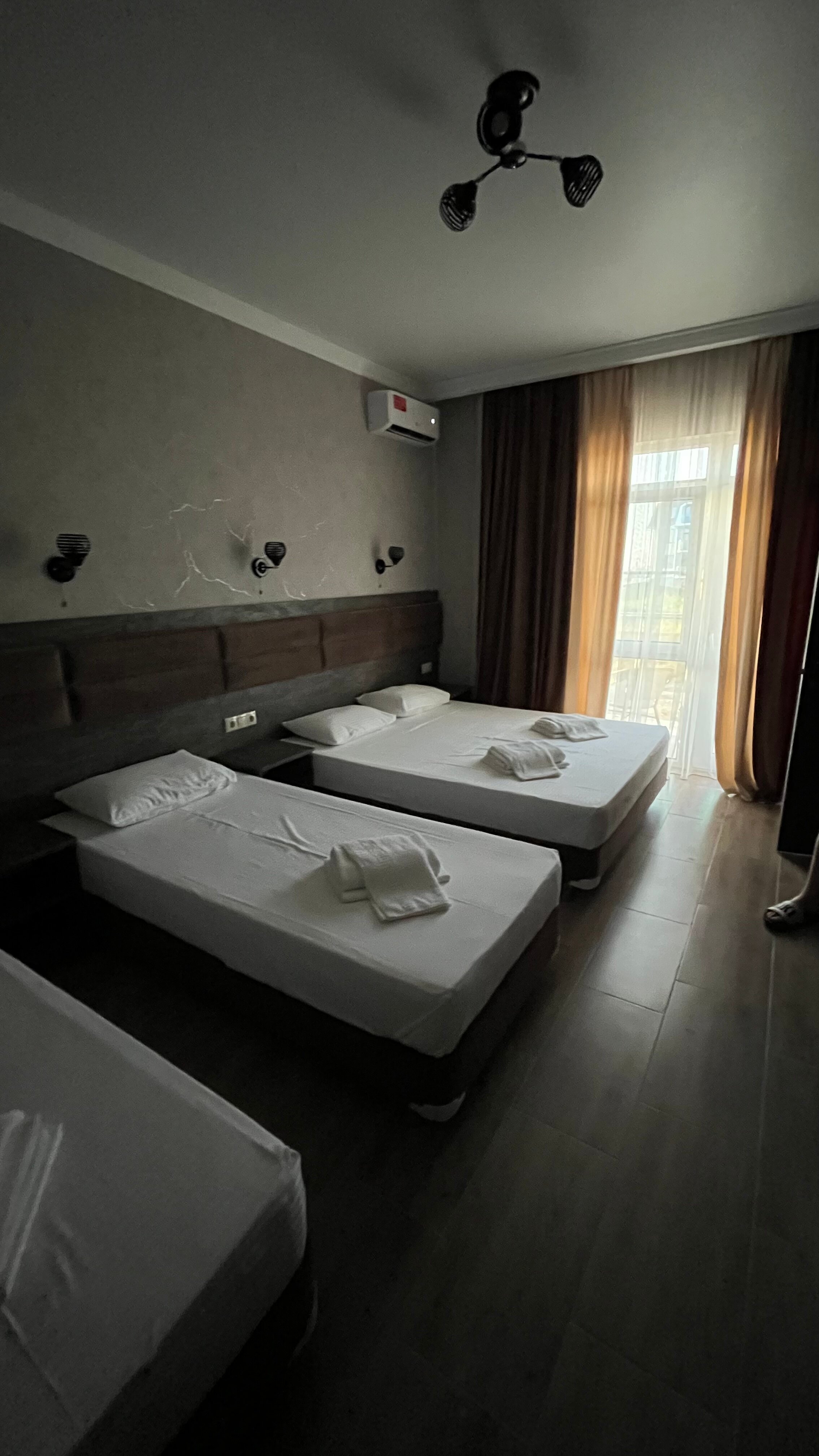 Фото Дионида