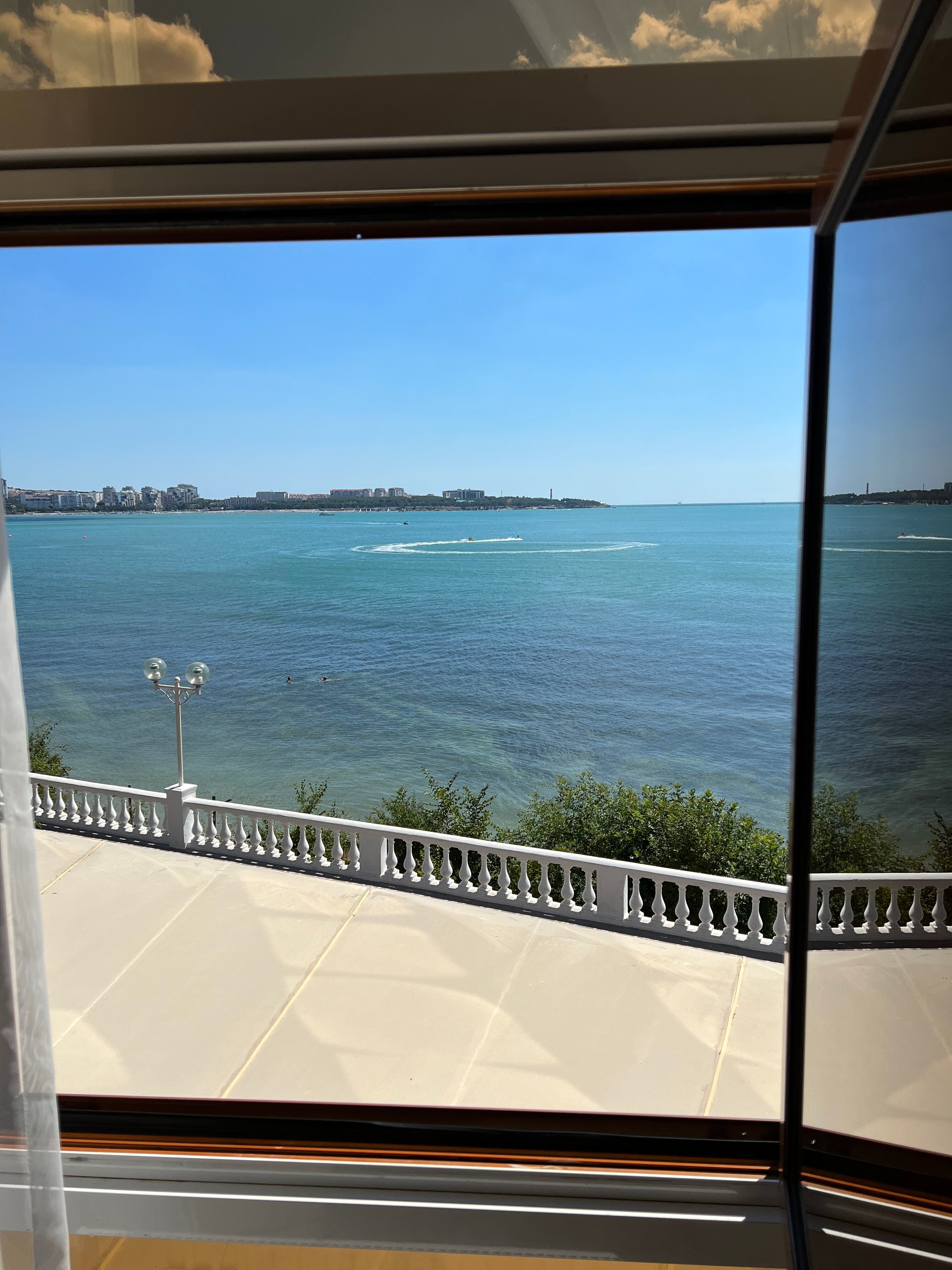 Фото Магнолия