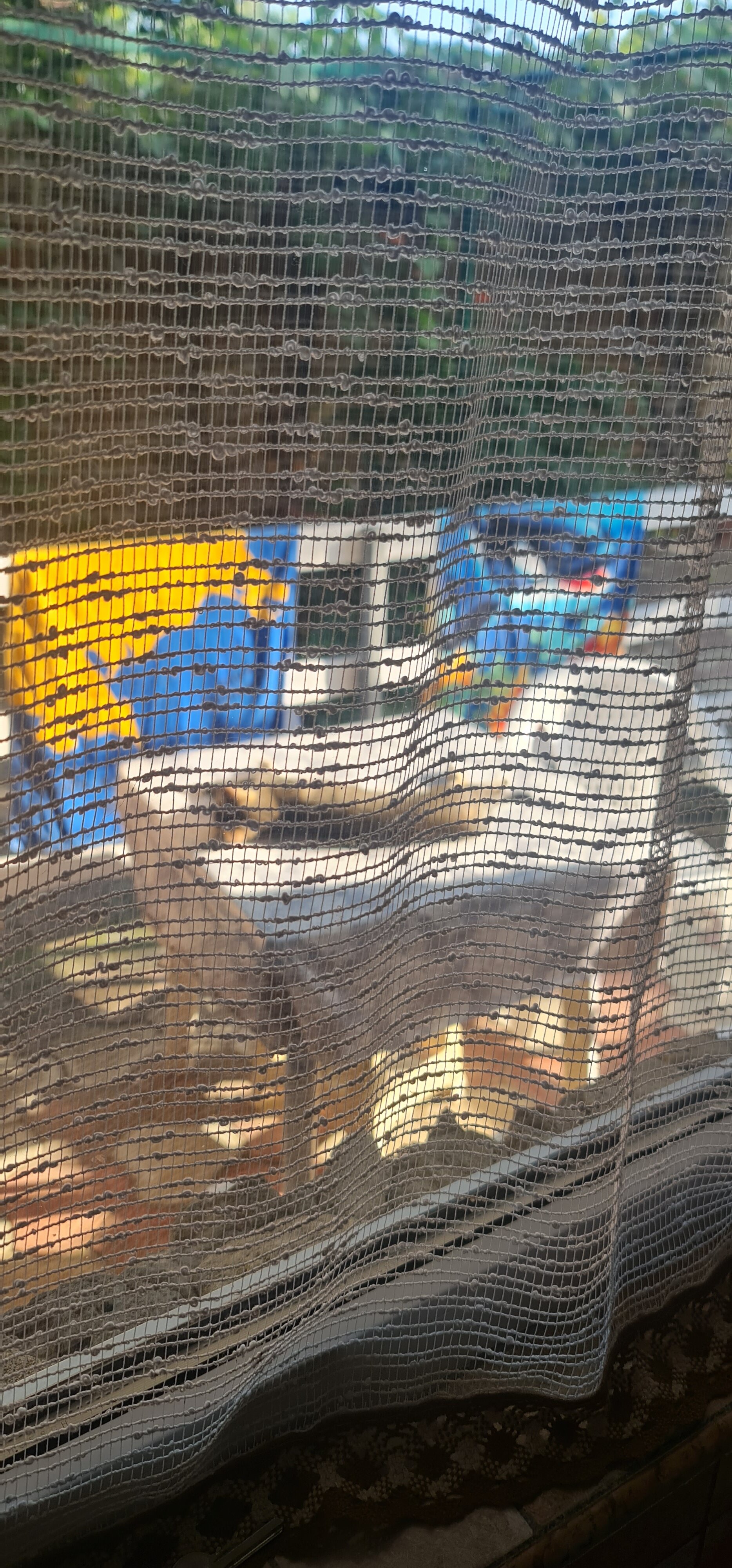 Фото Летний дом Сивэй